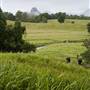 Tweed Valley 1 of 2