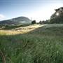 Tweed Valley 1 of 2