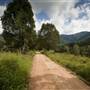 Tweed Valley 1 of 2