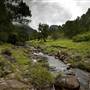 Tweed Valley 1 of 2