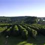 Zentveld's Coffee Plantation