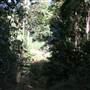 Upper Crystal Creek