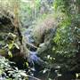 Upper Crystal Creek