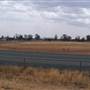 West Wyalong Racetrack and Showgrounds