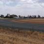 West Wyalong Racetrack and Showgrounds