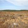 Penrose State Forest - Southern Highlands
