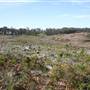 Penrose State Forest - Southern Highlands