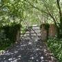 Pearsons Lane