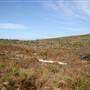 Penrose State Forest - Southern Highlands