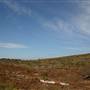 Penrose State Forest - Southern Highlands