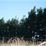 Robertson - Southern Highlands
