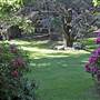 Robertson - Southern Highlands