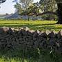 Robertson - Southern Highlands