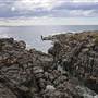 Shellharbour 1