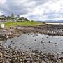 Shellharbour 1