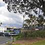Shellharbour 1