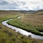 Snowy Mountains - Semi-Dry Steppes