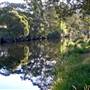 Thredbo River