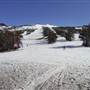 Thredbo