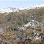 Thredbo