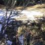 Thredbo