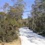 Thredbo