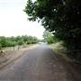 Wilgro Orchard