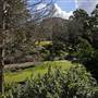 Wollongong Botanic Garden