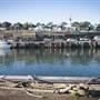 Wollongong Harbour