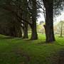 Parklands Country Garden & Lodges