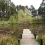Parklands Country Garden & Lodges