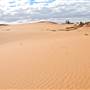Perry Sandhills