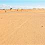 Perry Sandhills