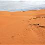 Perry Sandhills