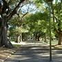 The Domain