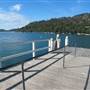 Currawong Beach Cottages & Basin Campground -  Ku-ring-gai Chase National Park