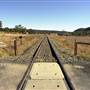 Wollar, NE of Mudgee