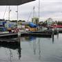 Sydney Fish Market