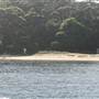 Various Sydney Harbour views from water