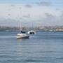 Various Sydney Harbour views from water