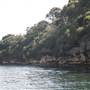 Various Sydney Harbour views from water