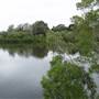 Taree