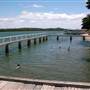 Taree