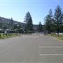 Whale Beach