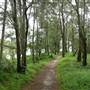 Yarramundi Reserve South