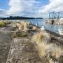 Woolwich Dock