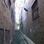 Surry Hills - Sophia Lane
