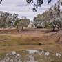 Walgett Area