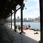 Walsh Bay - Piers/Wharves Pier 2/3