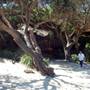 Wattamolla Beach